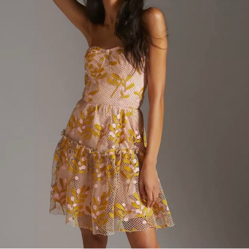 Anthropology Eva Franco Lace Dress